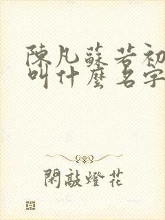 陈凡苏若初小说叫什么名字封面