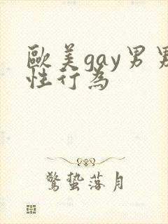 欧美gay男男性行为