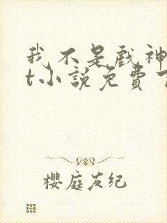 我不是戏神txt小说免费下载