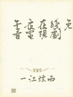 午夜在线免费观看电视剧封面