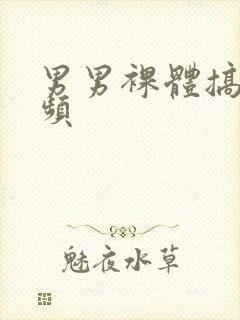 男男裸体搞基视频