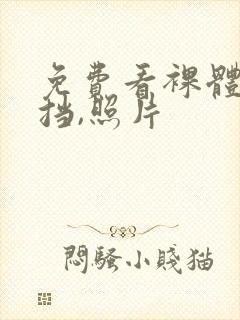 免费看裸体无遮挡,照片