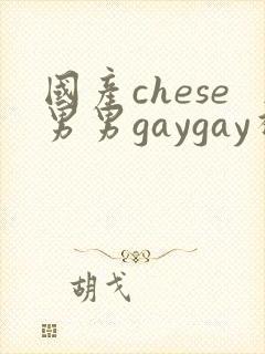 国产chese男男gaygay视频网站封面