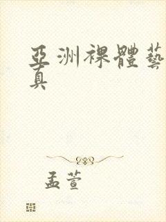 亚洲裸体艺术写真封面