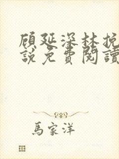 顾延深林挽音小说免费阅读最新章节封面