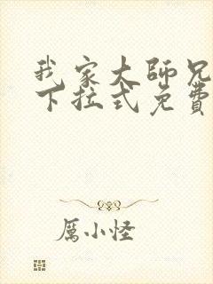 我家大师兄漫画下拉式免费阅读