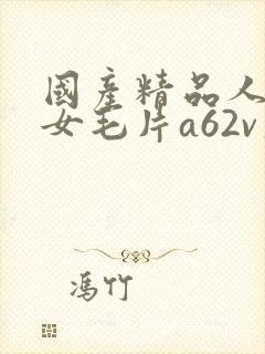 国产精品人妻熟女毛片a62v久久