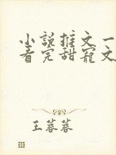 小说推文一口气看完甜宠文封面