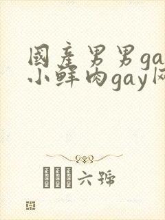 国产男男gay小鲜肉gay网站亚洲