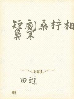 短剧桑柠相认陆枭寒