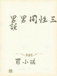 男男同性三级小说