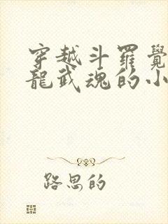 穿越斗罗觉醒赤龙武魂的小说