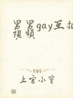 男男gay互插视频