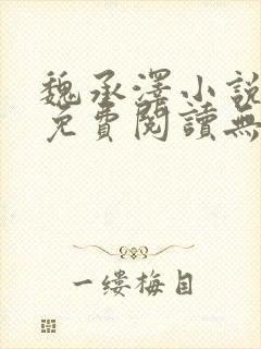 魏承泽小说全文免费阅读无弹窗笔趣