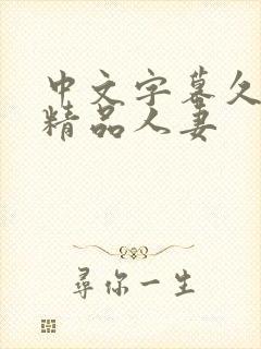 中文字幕久久久精品人妻