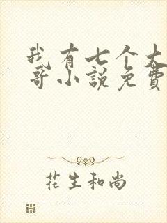 我有七个大佬哥哥小说免费看
