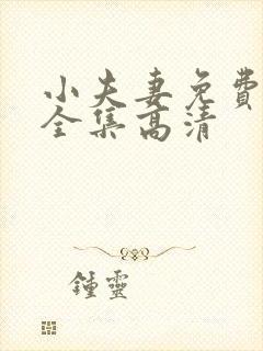 小夫妻免费观看全集高清