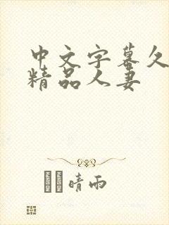 中文字幕久久久精品人妻