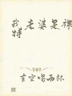 我老婆是裸体模特封面