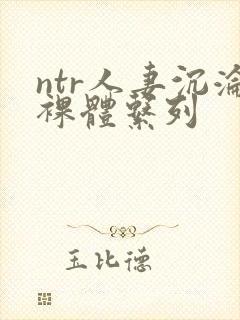 ntr人妻沉沦裸体系列封面