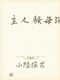 主人 骚母狗封面