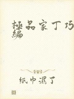 极品家丁巧巧改编