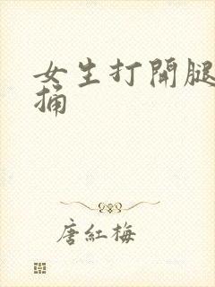女生打开腿让人捅