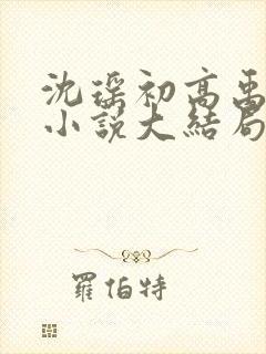 沈瑶初高禹川的小说大结局封面