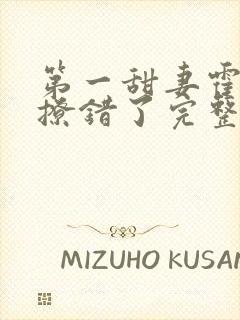 第一甜妻霍先生撩错了完整版