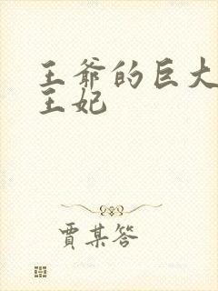 王爷的巨大进入王妃封面