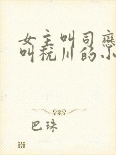 女主叫司恋男主叫杭川的小说名字封面