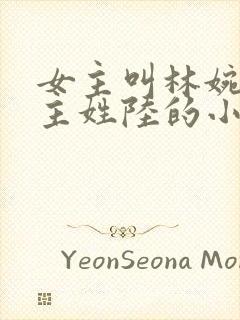 女主叫林婉清男主姓陆的小说