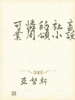 可怜的社畜 商业周颂小说