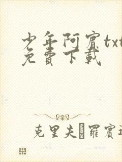 少年阿宾txt免费下载