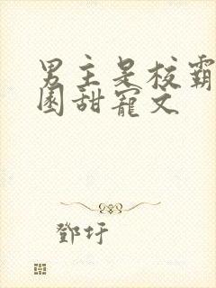 男主是校霸的校园甜宠文