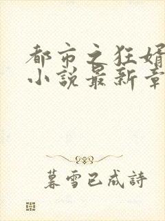 都市之狂婿战神小说最新章节在线封面