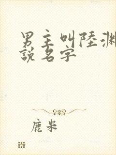 男主叫陆渊的小说名字