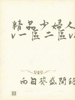 精品少妇人妻av一区二区v8
