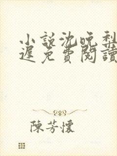 小说沈晚梨谢云迟免费阅读