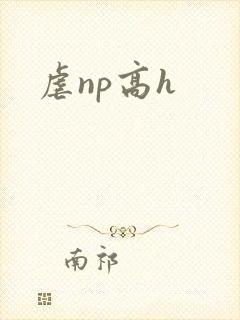 虐np高h封面