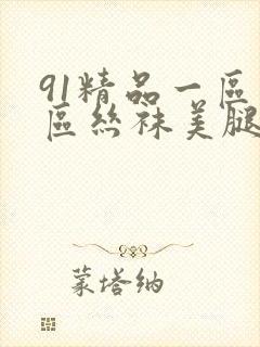 91精品一区二区丝袜美腿