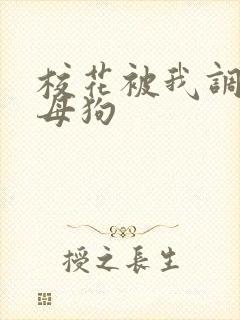 校花被我调教成母狗