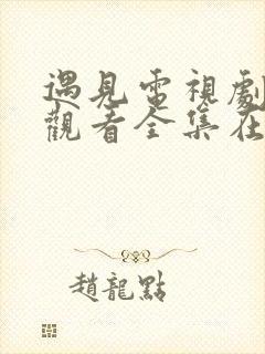 遇见电视剧免费观看全集在线播放