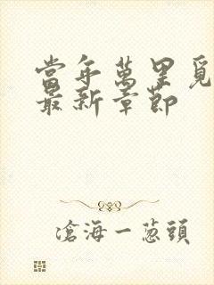 当年万里觅封侯最新章节