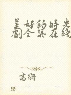 美好的时光电视剧全集在线观看免费