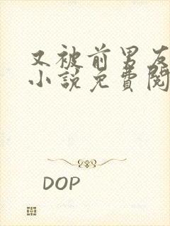 又被前男友盯上小说免费阅读封面