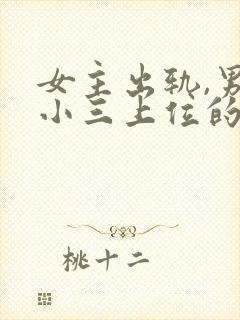 女主出轨,男主小三上位的小说封面