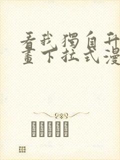 看我独自升级漫画下拉式漫画封面