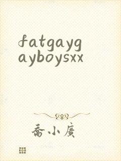 fatgaygayboysxx封面
