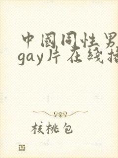中国同性男男黄gay片在线播放